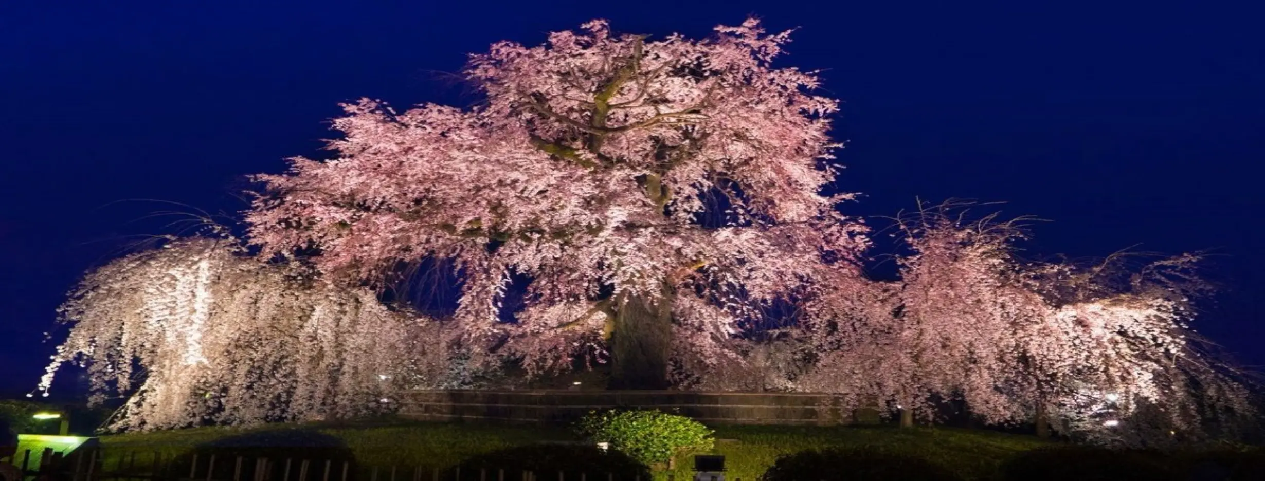 Image for Maruyama Park